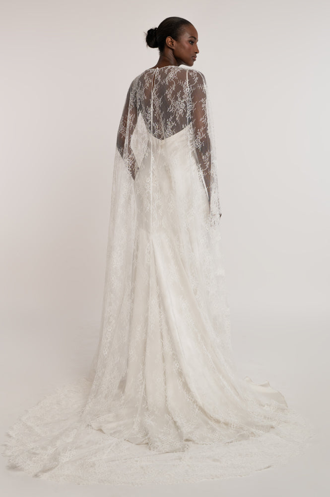 VERBENA CAPE